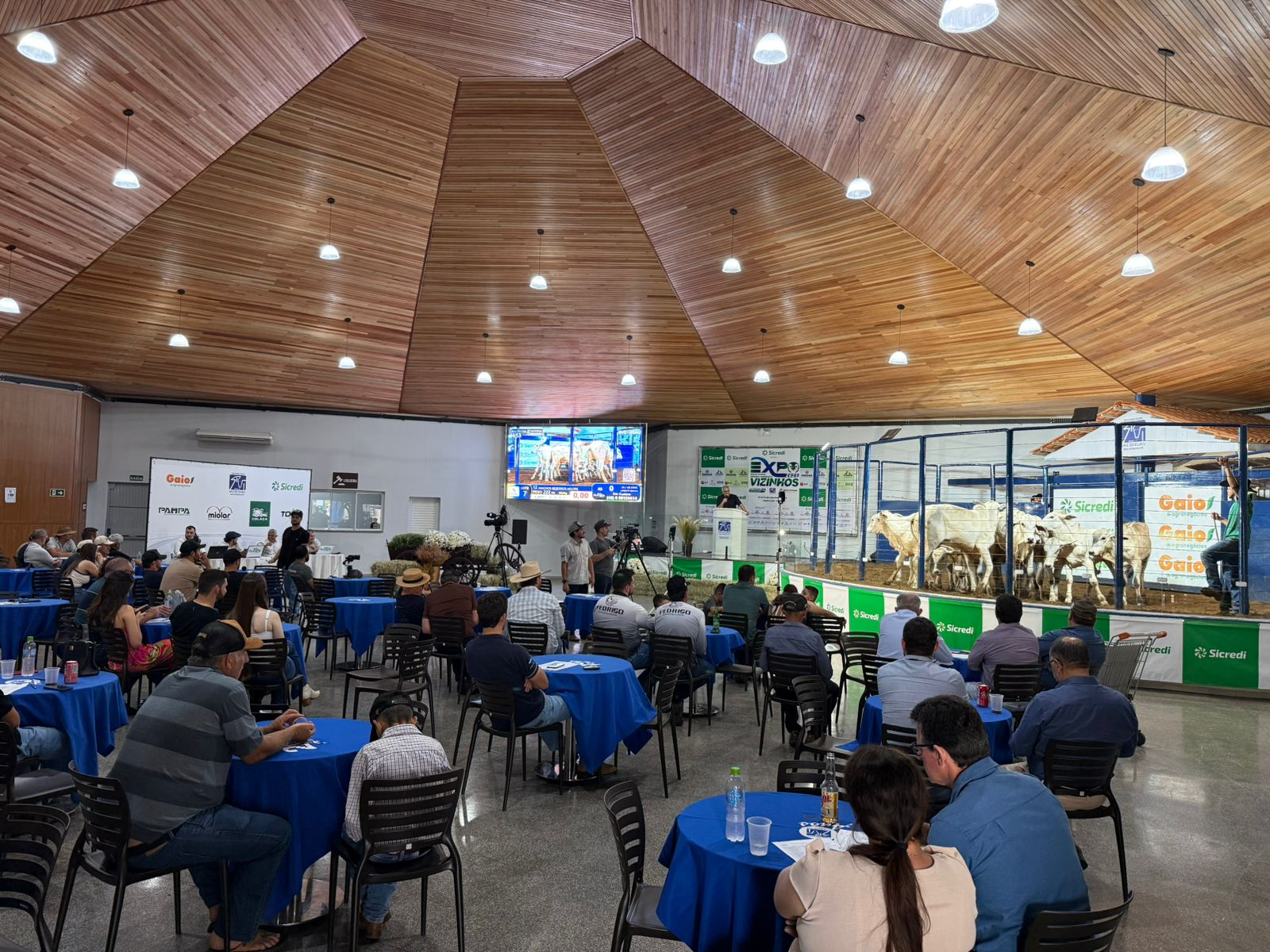 Primeiro leilão da Expovizinhos teve pista limpa e movimentou mais de R$ 3 milhões